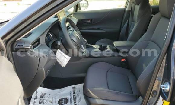 Buy Import Toyota Venza Silver Car in Conakry in Conakry Buy Import Toyota Venza Silver Car in Conakry in Conakry