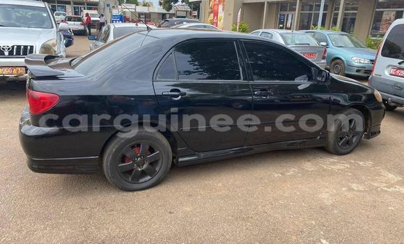 Buy Used Toyota Corolla Black Car in Conakry in Conakry Buy Used Toyota Corolla Black Car in Conakry in Conakry