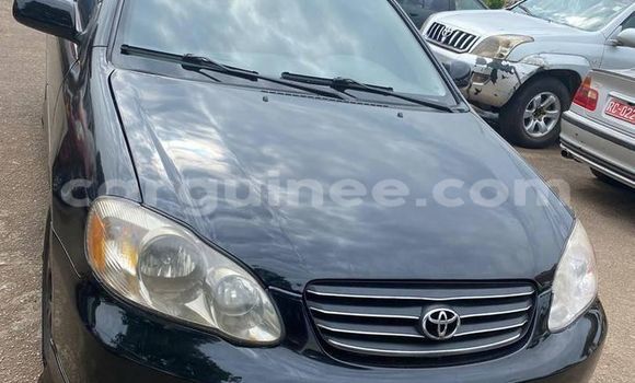Buy Used Toyota Corolla Black Car in Conakry in Conakry Buy Used Toyota Corolla Black Car in Conakry in Conakry
