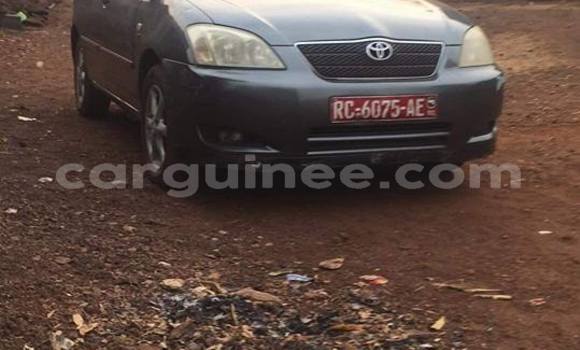 Buy Used Toyota Corolla Blue Car in Conakry in Conakry Buy Used Toyota Corolla Blue Car in Conakry in Conakry