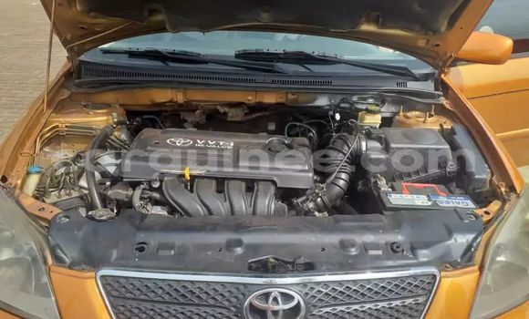 Acheter Occasion Voiture Toyota Corolla Marron à Conakry, Conakry Acheter Occasion Voiture Toyota Corolla Marron à Conakry, Conakry