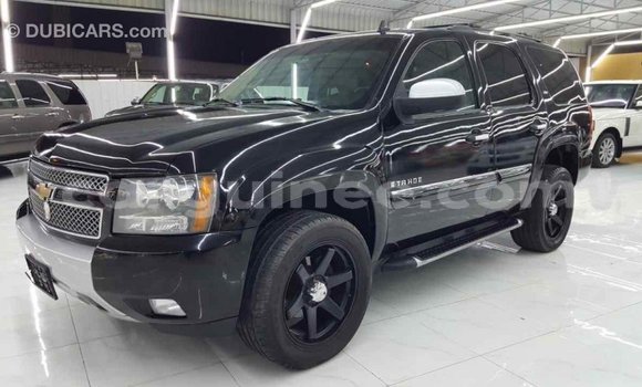 Buy Import Chevrolet Tahoe Black Car in Import - Dubai in Conakry Buy Import Chevrolet Tahoe Black Car in Import - Dubai in Conakry
