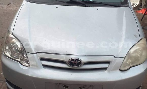 Acheter Occasion Voiture Toyota Corolla Gris à Conakry, Conakry Acheter Occasion Voiture Toyota Corolla Gris à Conakry, Conakry