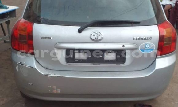 Acheter Occasion Voiture Toyota Corolla Gris à Conakry, Conakry Acheter Occasion Voiture Toyota Corolla Gris à Conakry, Conakry