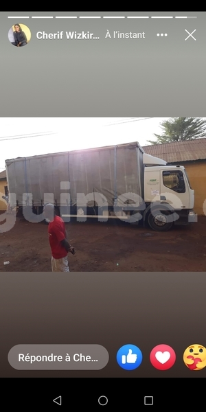 Big with watermark renault trafic conakry conakry 6866