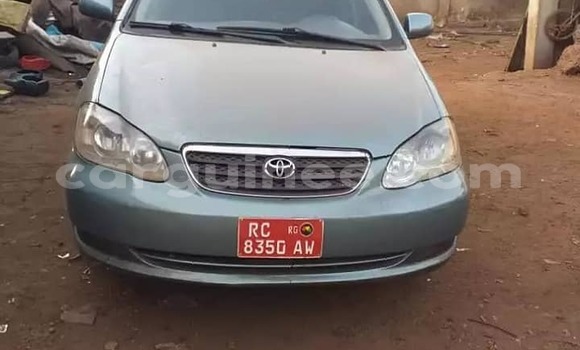 Buy Used Toyota Corolla Green Car in Conakry in Conakry