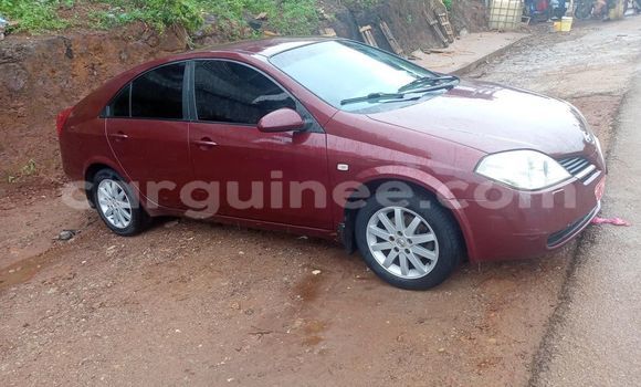 Acheter Occasion Voiture Nissan Primera Rouge à Conakry, Conakry Acheter Occasion Voiture Nissan Primera Rouge à Conakry, Conakry
