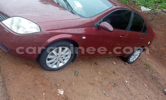 Acheter Occasion Voiture Nissan Primera Rouge à Conakry, Conakry Acheter Occasion Voiture Nissan Primera Rouge à Conakry, Conakry