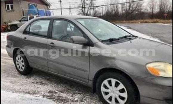 Acheter Occasion Voiture Toyota Corolla Autre à Conakry, Conakry Acheter Occasion Voiture Toyota Corolla Autre à Conakry, Conakry