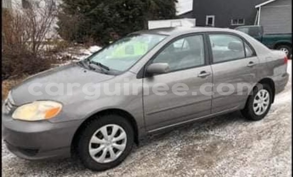 Acheter Occasion Voiture Toyota Corolla Autre à Conakry, Conakry Acheter Occasion Voiture Toyota Corolla Autre à Conakry, Conakry