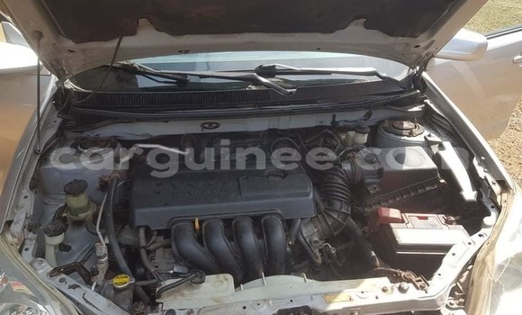 Acheter Occasion Voiture Toyota Matrix Gris à Conakry, Conakry Acheter Occasion Voiture Toyota Matrix Gris à Conakry, Conakry