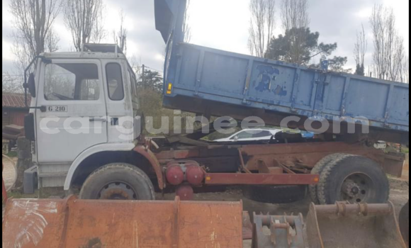 Acheter Import Utilitaire Renault D55 Bleu à Conakry, Conakry Acheter Import Utilitaire Renault D55 Bleu à Conakry, Conakry