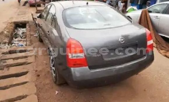 Buy Used Nissan Primera Other Car in Conakry in Conakry Buy Used Nissan Primera Other Car in Conakry in Conakry