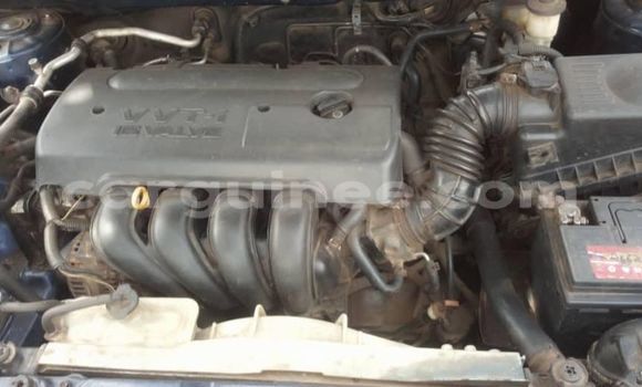 Acheter Occasion Voiture Toyota Corolla Noir à Conakry, Conakry Acheter Occasion Voiture Toyota Corolla Noir à Conakry, Conakry