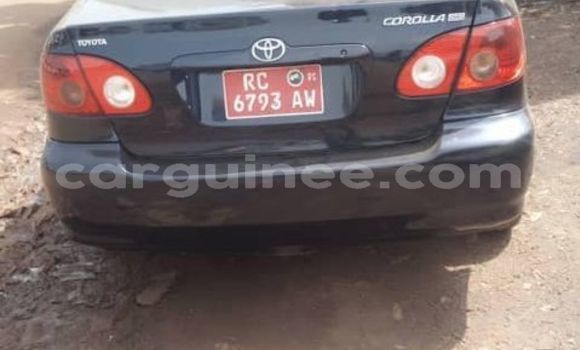 Acheter Occasion Voiture Toyota Corolla Noir à Conakry, Conakry Acheter Occasion Voiture Toyota Corolla Noir à Conakry, Conakry