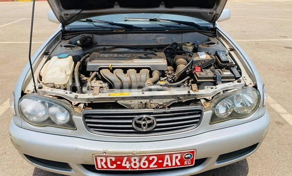 Acheter Occasion Voiture Toyota Corolla Gris à Conakry, Conakry Acheter Occasion Voiture Toyota Corolla Gris à Conakry, Conakry