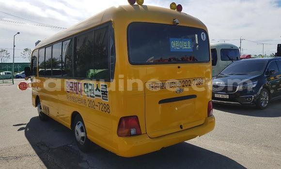 Acheter Occasion Voiture Hyundai Entourage Autre à Conakry, Conakry Acheter Occasion Voiture Hyundai Entourage Autre à Conakry, Conakry