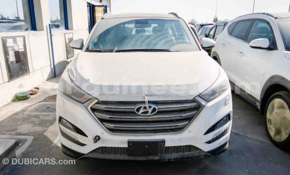 Buy Import Hyundai Tucson White Car in Import - Dubai in Conakry Buy Import Hyundai Tucson White Car in Import - Dubai in Conakry