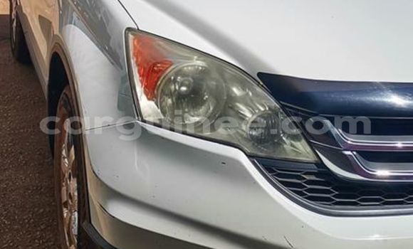 Buy Used Honda CR–V White Car in Conakry in Conakry Buy Used Honda CR–V White Car in Conakry in Conakry