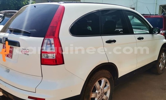 Buy Used Honda CR–V White Car in Conakry in Conakry Buy Used Honda CR–V White Car in Conakry in Conakry