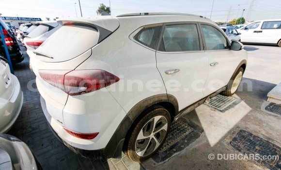 Buy Import Hyundai Tucson White Car in Import - Dubai in Conakry Buy Import Hyundai Tucson White Car in Import - Dubai in Conakry