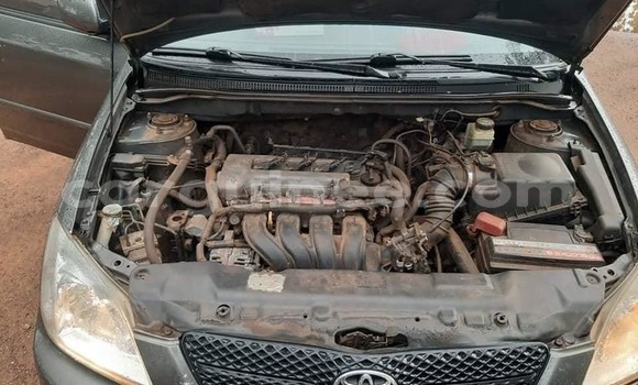 Buy Used Toyota Corolla Other Car in Conakry in Conakry Buy Used Toyota Corolla Other Car in Conakry in Conakry
