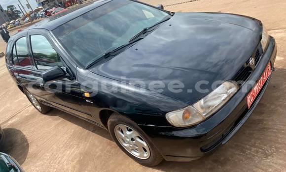 Buy Used Nissan Almera Black Car in Conakry in Conakry Buy Used Nissan Almera Black Car in Conakry in Conakry