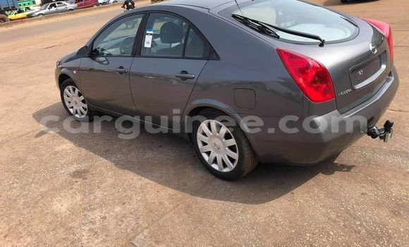 Buy Used Nissan Primera Other Car in Conakry in Conakry Buy Used Nissan Primera Other Car in Conakry in Conakry