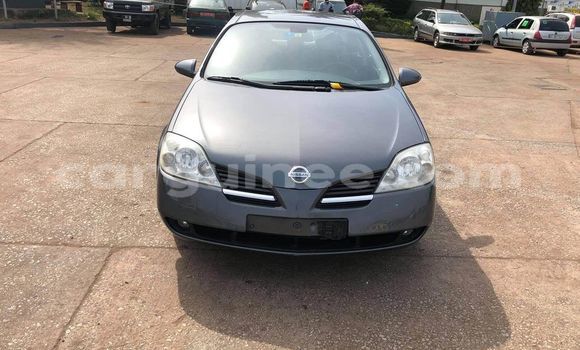 Buy Used Nissan Primera Other Car in Conakry in Conakry Buy Used Nissan Primera Other Car in Conakry in Conakry