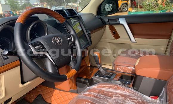 Buy Import Toyota Land Cruiser Prado Black Car in Conakry in Conakry Buy Import Toyota Land Cruiser Prado Black Car in Conakry in Conakry