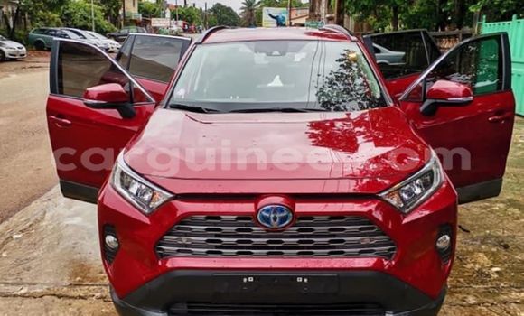 Buy Import Toyota RAV4 Red Car in Conakry in Conakry Buy Import Toyota RAV4 Red Car in Conakry in Conakry