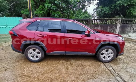 Buy Import Toyota RAV4 Red Car in Conakry in Conakry Buy Import Toyota RAV4 Red Car in Conakry in Conakry