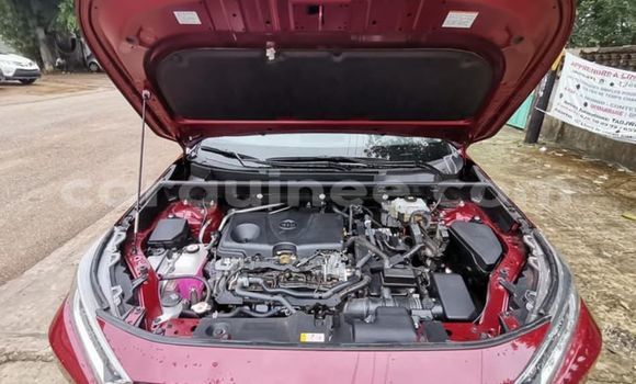 Buy Import Toyota RAV4 Red Car in Conakry in Conakry Buy Import Toyota RAV4 Red Car in Conakry in Conakry
