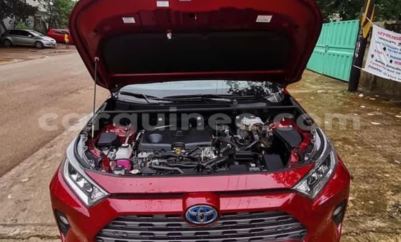 Buy Import Toyota RAV4 Red Car in Conakry in Conakry Buy Import Toyota RAV4 Red Car in Conakry in Conakry