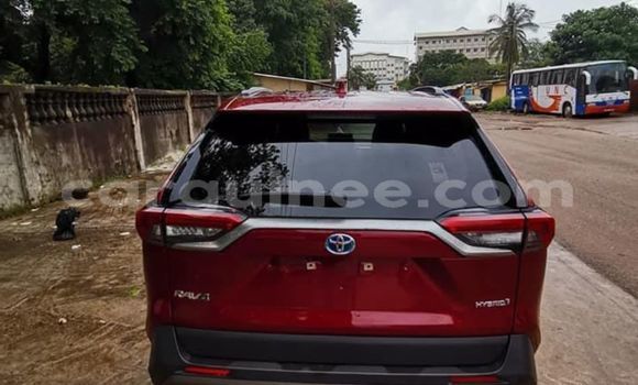 Buy Import Toyota RAV4 Red Car in Conakry in Conakry Buy Import Toyota RAV4 Red Car in Conakry in Conakry