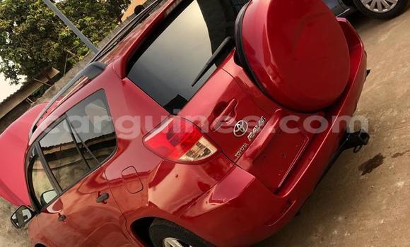 Buy Import Toyota RAV4 Red Car in Conakry in Conakry Buy Import Toyota RAV4 Red Car in Conakry in Conakry