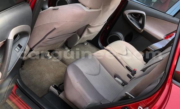 Buy Import Toyota RAV4 Red Car in Conakry in Conakry Buy Import Toyota RAV4 Red Car in Conakry in Conakry