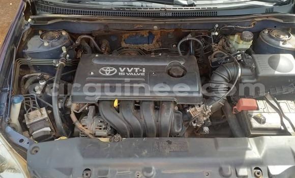 Acheter Occasion Voiture Toyota Corolla Bleu à Conakry, Conakry Acheter Occasion Voiture Toyota Corolla Bleu à Conakry, Conakry