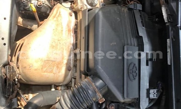 Buy Used Toyota RAV4 Silver Car in Conakry in Conakry Buy Used Toyota RAV4 Silver Car in Conakry in Conakry