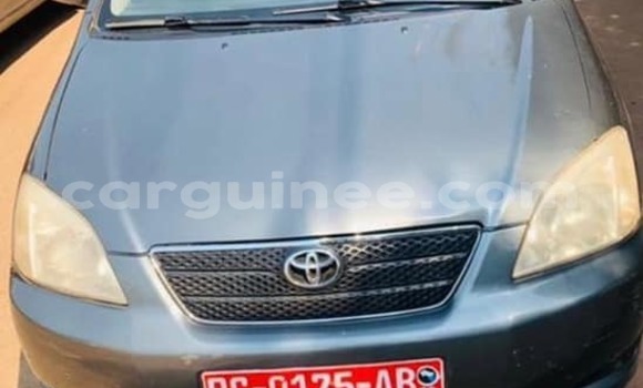 Acheter Occasion Voiture Toyota Corolla Autre à Conakry, Conakry Acheter Occasion Voiture Toyota Corolla Autre à Conakry, Conakry