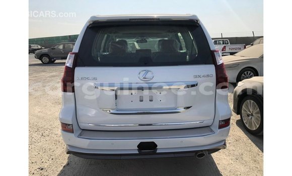 Buy Import Lexus GX White Car in Import - Dubai in Conakry Buy Import Lexus GX White Car in Import - Dubai in Conakry