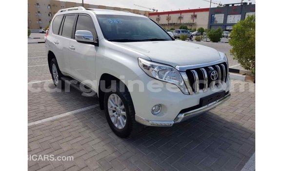 Acheter Import Voiture Toyota Prado Blanc à Import - Dubai, Conakry Acheter Import Voiture Toyota Prado Blanc à Import - Dubai, Conakry