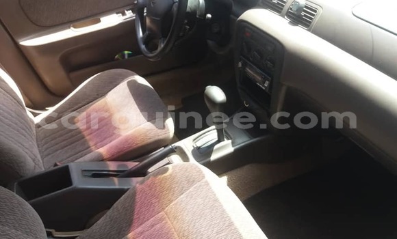 Buy Used Nissan Sentra Silver Car in Conakry in Conakry Buy Used Nissan Sentra Silver Car in Conakry in Conakry
