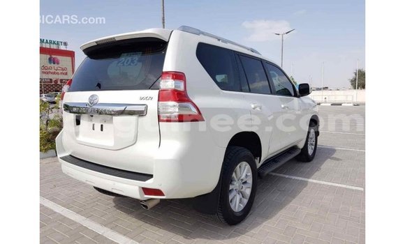 Acheter Import Voiture Toyota Prado Blanc à Import - Dubai, Conakry Acheter Import Voiture Toyota Prado Blanc à Import - Dubai, Conakry