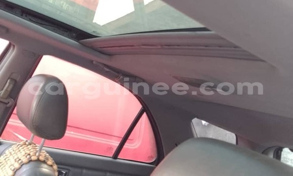 Buy Used Nissan Almera Red Car in Conakry in Conakry Buy Used Nissan Almera Red Car in Conakry in Conakry