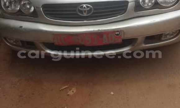 Buy Used Toyota Corolla Silver Car in Conakry in Conakry