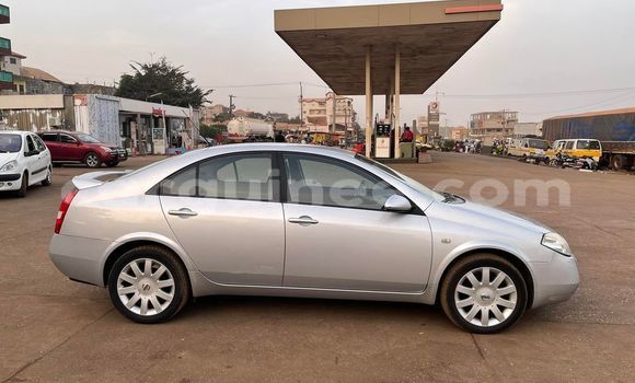 Acheter Occasion Voiture Nissan Primera Gris à Conakry, Conakry Acheter Occasion Voiture Nissan Primera Gris à Conakry, Conakry