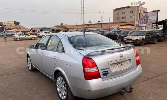 Acheter Occasion Voiture Nissan Primera Gris à Conakry, Conakry Acheter Occasion Voiture Nissan Primera Gris à Conakry, Conakry