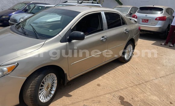 Buy Used Toyota Corolla Brown Car in Conakry in Conakry Buy Used Toyota Corolla Brown Car in Conakry in Conakry