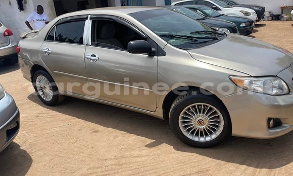Buy Used Toyota Corolla Brown Car in Conakry in Conakry Buy Used Toyota Corolla Brown Car in Conakry in Conakry